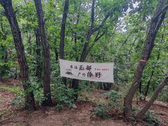 -六里坪国家森林公园