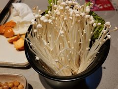 -渡娘火锅(大兴大悦春风里店)