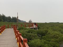 -北海金海湾红树林生态旅游区