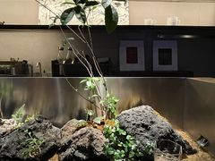 -曲廊院(东四十一条店)