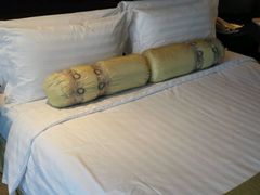 -国家会议中心大酒店