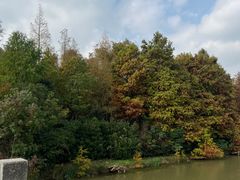 -上海海湾国家森林公园