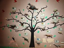 -酷嗒动物文化乐园(cutezoo西溪乐天城店)