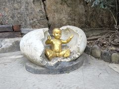 -西双版纳原始森林公园