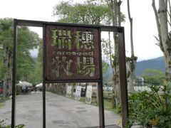 -瑞穗牧场