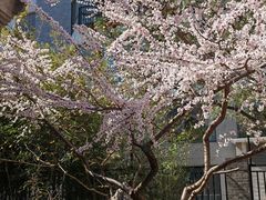 -月坛公园