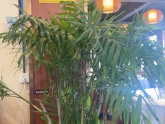 -老雒阳面馆·水席(洛宁高速路口店)