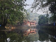 -碧峰峡风景区