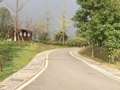 -白鹭湾湿地公园