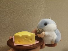 -匠和风精致料理(成都龙湖滨江天街店)