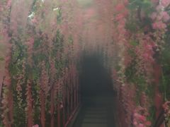 -宁波杭州湾海底温泉