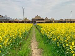 -乌村