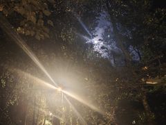 -水濂山森林公园