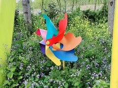 -合肥滨湖国家森林公园