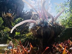 -奥兰多迪士尼动物王国乐园