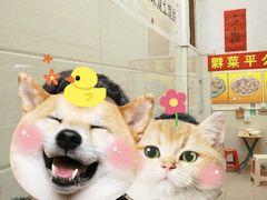 -公平菜粿(沙河店)