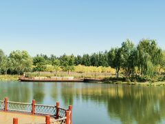 -东郊湿地公园