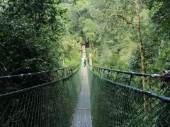 -云南屏边大围山国家公园