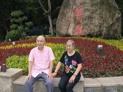 -野狸岛