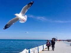 -青海湖国家重点风景名胜区