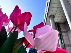 -西北轻工批发市场