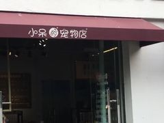 -小呆的宠物店·宠物售卖·宠物寄养(城西店)