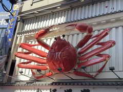 -蟹道乐(道顿堀本店)