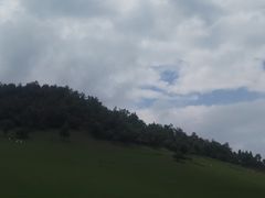 -关山草原