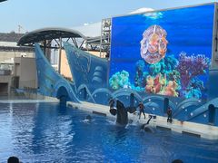 -上海海昌海洋公园