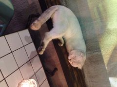 Mikaku(Mikaku万达店)-MIKAKU(万达广场上海宝山店)