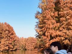 -上海海湾国家森林公园