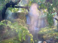 -Chom Cafe and Restaurant