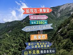 -朱雀国家森林公园