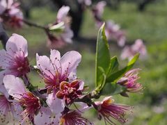 -广富林郊野公园