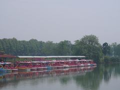 -宜兴龙背山森林公园