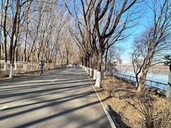 -长白岛森林公园