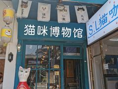 -猫咪博物馆(顶澳仔猫街店)