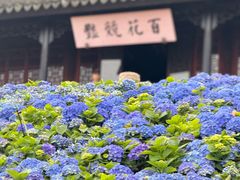 -苏州上方山国家森林公园