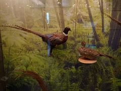 -下渚湖国家湿地公园科普馆