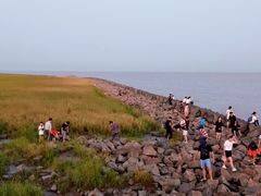 -南汇嘴观海公园