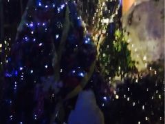 -胡桃里音乐酒馆(曲江店)