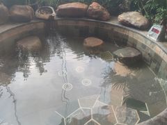 -韶关经律论国际酒店温泉