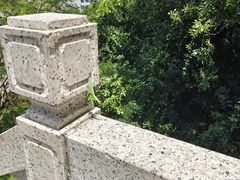 -红花山公园