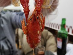 -徐嘉赫龙虾馆