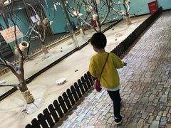 -上海大自然野生昆虫馆(东方明珠·爬宠昆虫探索中心)
