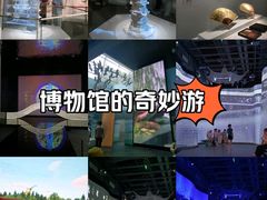 -杭州西湖博物馆总馆