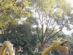 -汇龙潭