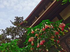 -古大圣慈寺