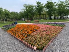 -上海山野camping·户外天幕烧烤·团建拓展营地