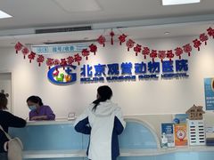 -北京观赏动物医院·24小时大型综合·猫专科·异宠专科
